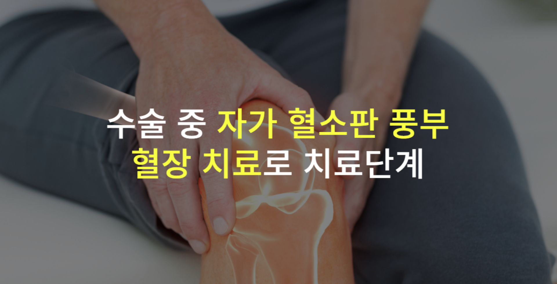 1920_980 홈페이지 메인 이미지 (2).png
